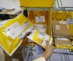 Diplomas ensino médio e Superior - Pague só após ver e verificar - Imagem 4